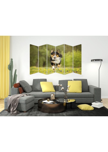 Köpek Mdf TABLO-2641 Model-B