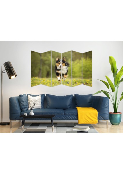 Köpek Mdf TABLO-2641 Model-B
