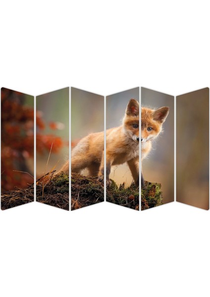 Tilki Mdf TABLO-2738 Model-B