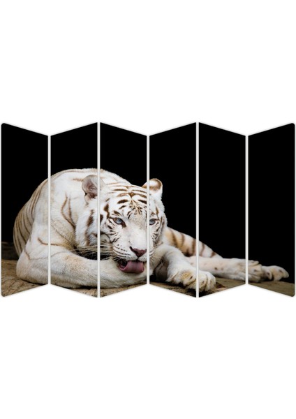 Aslan Mdf TABLO-2350 Model-B