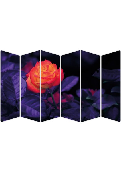 Gül Mdf TABLO-3479 Model-B