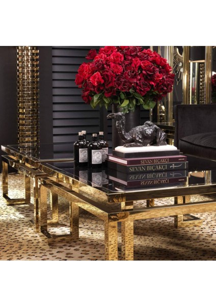 Zao Gold Metal Orta Sehpa fiyatları