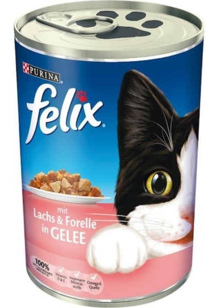 Somon ve Alabalıklı Konserve Kedi Maması 400 gr x 2 Adet