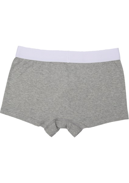 Boxer Trunk Neo-Cosy 3'lü Paket - Gri modelleri
