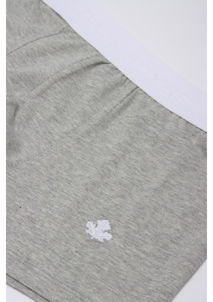 Boxer Trunk Neo-Cosy 3'lü Paket - Gri fırsatları