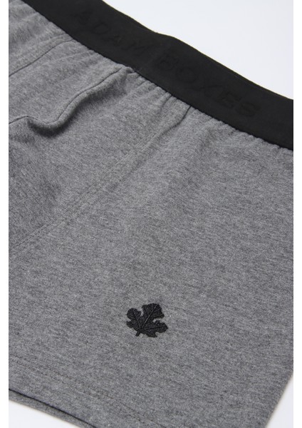 Boxer Trunk Neo-Cosy 3'lü Paket - Antrasit fırsatları