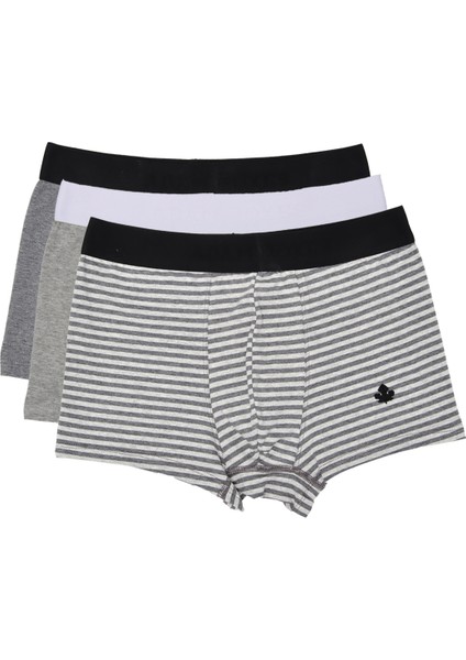 Boxer Trunk Neo-Cosy 3'lü Paket - Gri, Antrasit, Gri Çizgili