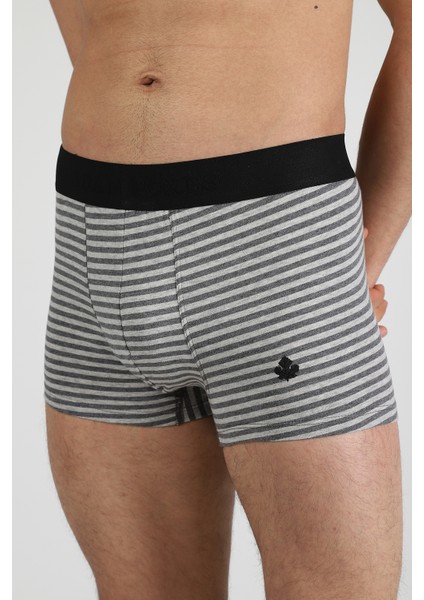 Boxer Trunk Neo-Cosy 3'lü Paket - Gri, Antrasit, Gri Çizgili fiyatları