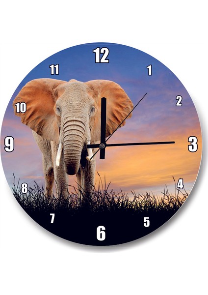 Cakatablo Çayırdaki Yetişkin Fil ve Kızıl Gökler Duvar Saati
