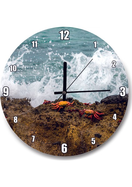Cakatablo Köpüklü Dalgalar Kayalıklar ve Kırmızı Yengeçler Duvar Saati
