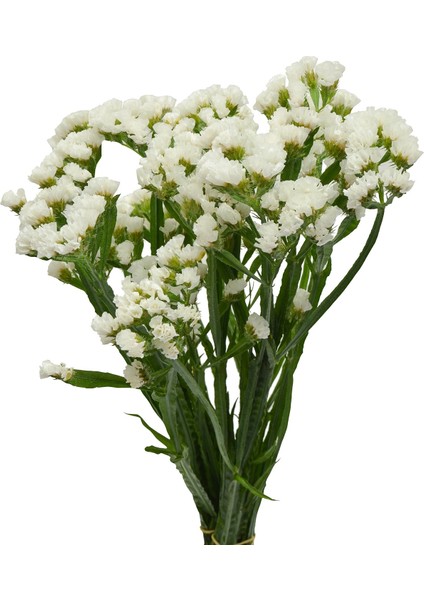 Kuru Çiçek Statis Demeti Beyaz