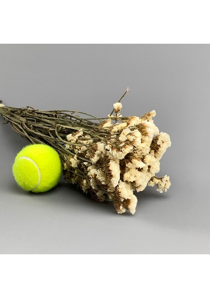 Kuru Çiçek Statis Demeti Beyaz fiyatları