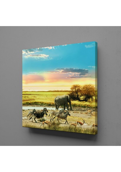 Fil ve Zebralar 170X170CM