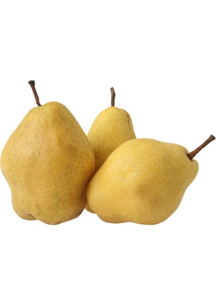 Mnv.armut Margarıta 1 kg