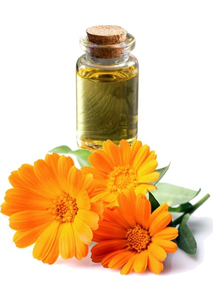 Aynısefa Yağı (Maserasyon) 20 ml x 2