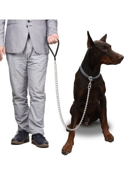 Lion Pet Köpek Büyük Irklar Için Zincir Gezdirme Yumuşak Saplı Kalınlık 4 mm Uzunluk 120 cm