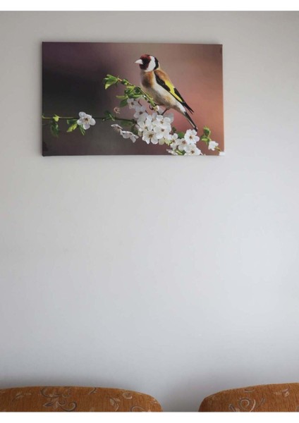 Saka Kuşu Ve Erik Çiçeği Görselli Kanvas Tablo (45x72 Cm)