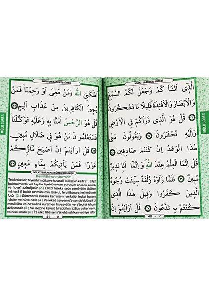 Yayınları 100'lü Yasin Çanta Boy Tül Keseli Tesbihli 80 Sayfa Yeşil Renk Mevlüd Hediyelikleri fiyatları