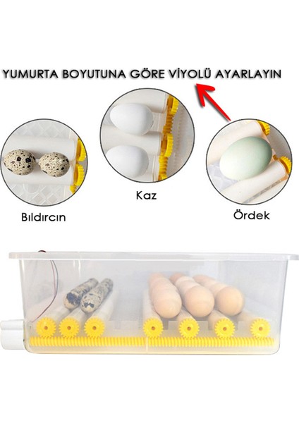 Kaz Yumurtası Uyumlu Kuluçka Makinesi