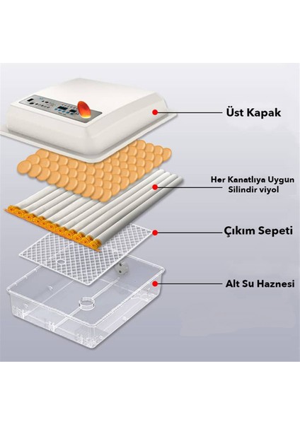 Kaz Yumurtası Uyumlu Kuluçka Makinesi