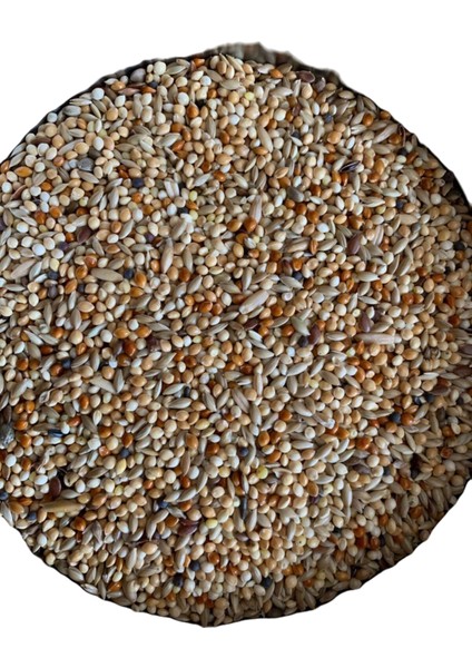 Premium Muhabbet Kuşu Yemi ( 1 kg )