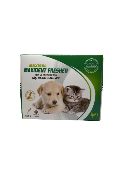 Maxisol Maxident Fresher Kedi ve Köpekler Için Diş Bakım Damlası