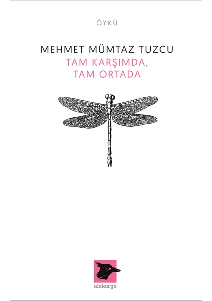 Tam Karşımda Tam Ortada - Mehmet Mümtaz Tuzcu