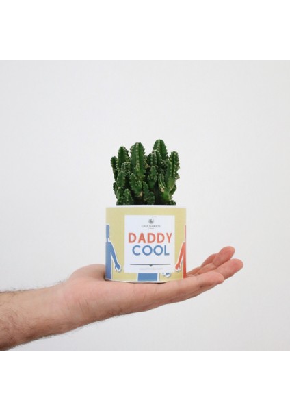 Kaktüs Cereus ''daddy Cool'' Baskılı Özel Saksıda