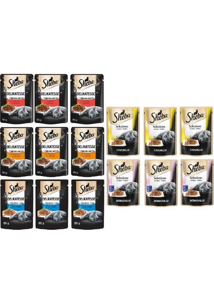 Pouch Karışık Paket Sığır-Ton-Tavuk-Somon-Hindi Yetişkin Kedi Yaş Maması 85 gr (15 Adet)