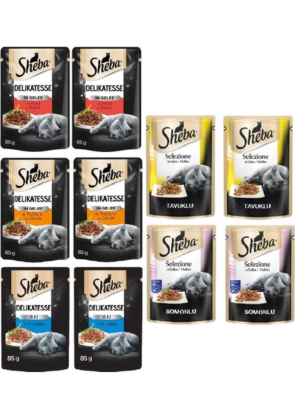 Pouch Karışık Paket Sığır-Ton-Tavuk-Somon-Hindi Yetişkin Kedi Yaş Maması 85 gr (10 Adet)