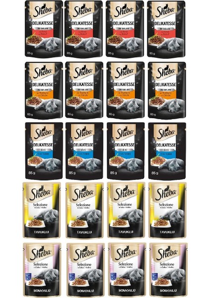 Pouch Karışık Paket Sığır-Ton-Tavuk-Somon-Hindi Yetişkin Kedi Yaş Maması 85 gr (20 Adet)