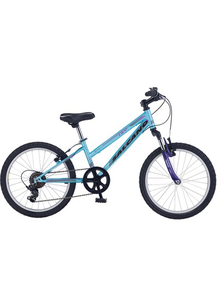 Lıly 20 Jant Vitesli Kız Çocuk Bisikleti (120-145 cm Boy)