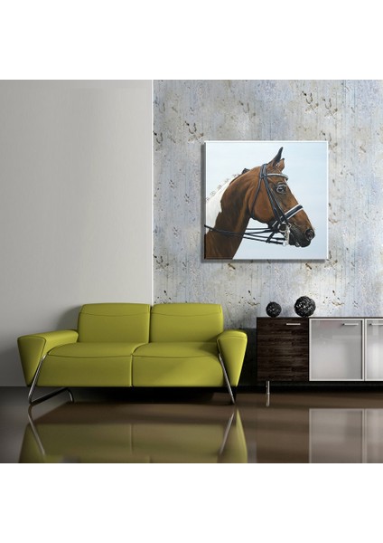 At Yağlı Boya Reprodüksiyon Kanvas Tablo TBL1762 (60X60 Cm)