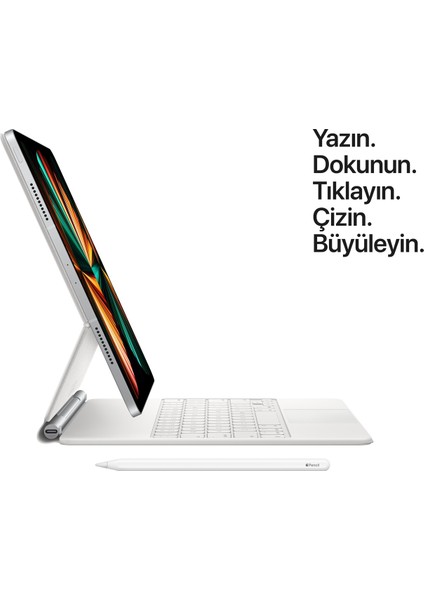 iPad Pro 3. Nesil Wi-Fi Cellular 2 TB Tablet - Uzay Grisi MHWE3TU/A