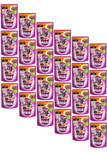 Junior Pouch Tavuklu Yavru Kedi Yaş Maması 100 gr (24 Adet)
