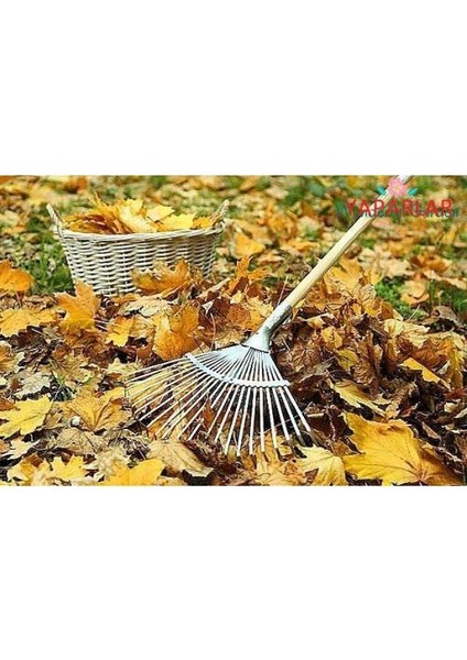 Istanbul Ehırdavat Ayarlı Metal Tırmık