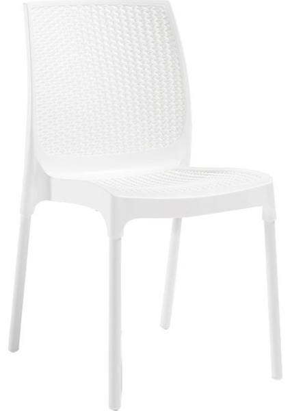 6 Adet Novussi Sunny Rattan Kolsuz Sandalye Beyaz fiyatları