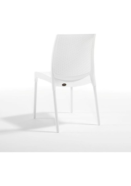 6 Adet Novussi Sunny Rattan Kolsuz Sandalye Beyaz fırsatları