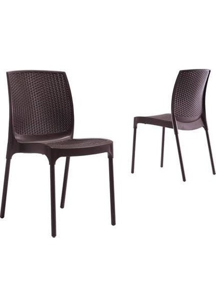 6 Adet Novussi Sunny Rattan Kolsuz Sandalye Kahve