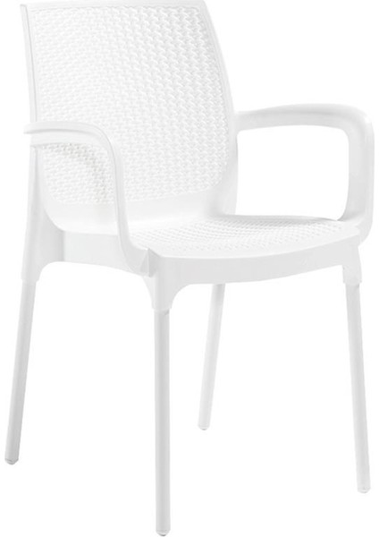 6 Adet Novussi Sunset Rattan Kollu Sandalye Koltuk Beyaz