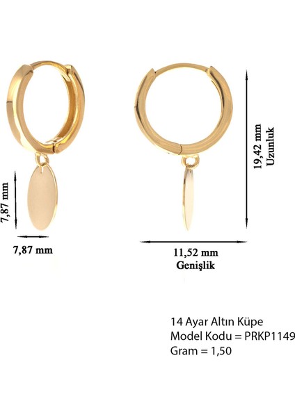 Kadın 14 Ayar Altın Yuvarlak Sallantılı Halka Küpe modelleri