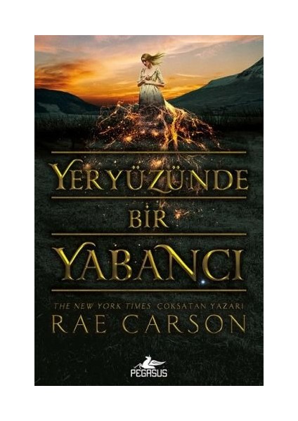Yeryüzünde Bir Yabancı - Rae Carson