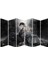 Attack On Titan Anime Mdf TABLO-0477 Model-B 1