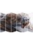 Dinozor Mdf TABLO-2411 Model-B 1
