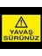 Yavaş Sürünüz 60 x 90cm 1