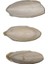 Mürekkep Balığı Kemiği (Kalamar) 10 cm - 3 Adet 2