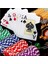 Deri Çanta Poker Çipi 400 Lük 4