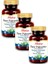 Saw Palmetto Isırgan Ekstraktı Çinko 375MG 60 Kapsül 3 Adet 1