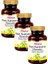 Sarı Kantaron Ekstraktı (St. John's Wort) 375MG 3X60 Kapsül 1