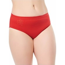 Çamaşırcım Shop Sedef Yıldız 1024 6'lı Işlemeli Bayan Slip Kom